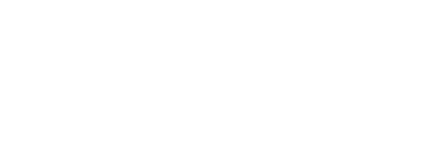 Andrea Osorio Photography Logo